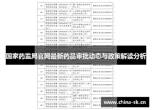 国家药监局官网最新药品审批动态与政策解读分析